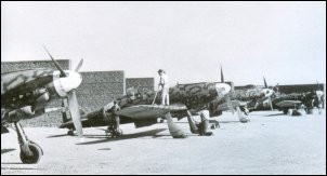 A line-up of Veltros of 1o Stormo (79a Squdriglia) at Catania-Sigonella airfield.