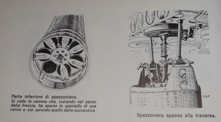 DSCF5128.JPG